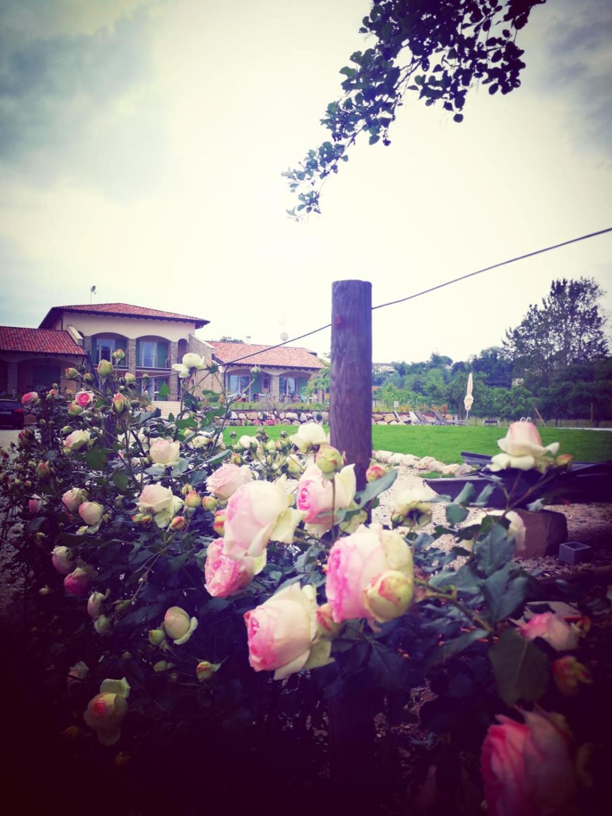 Orchidea Del Garda Rooms & Apartments Peschiera del Garda Dış mekan fotoğraf